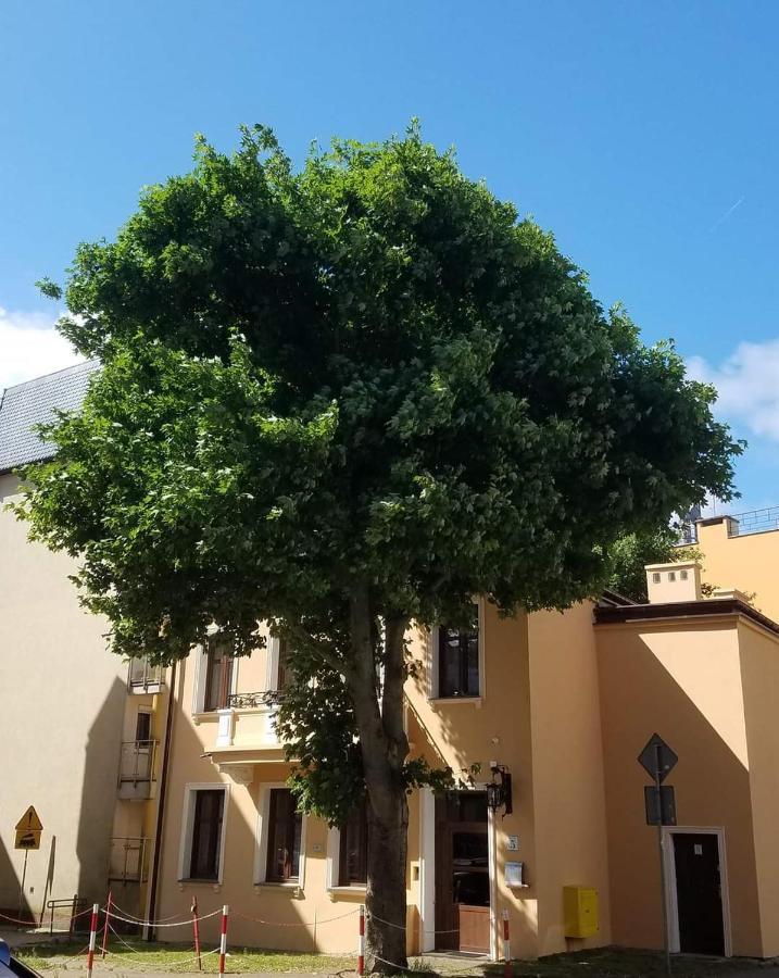 Na Cichej 5 A3 Kolberg